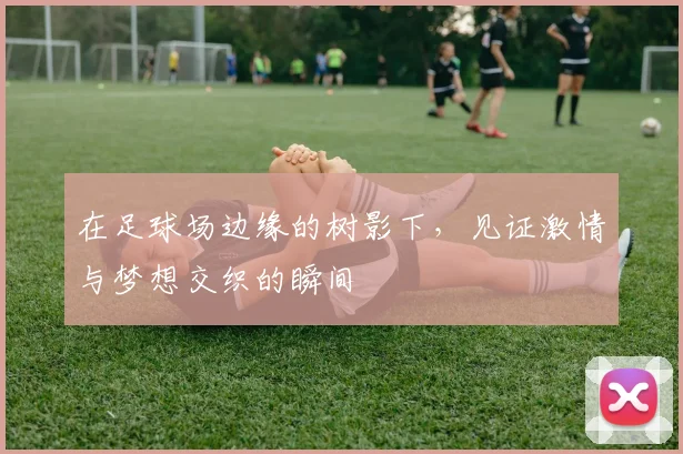 在足球场边缘的树影下，见证激情与梦想交织的瞬间