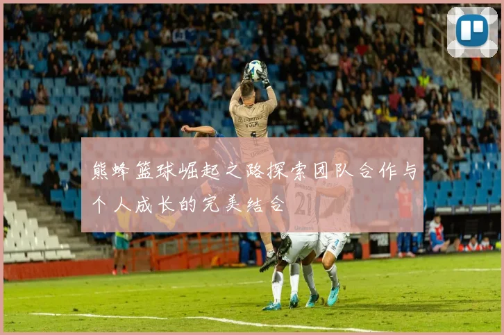 熊蜂篮球崛起之路探索团队合作与个人成长的完美结合