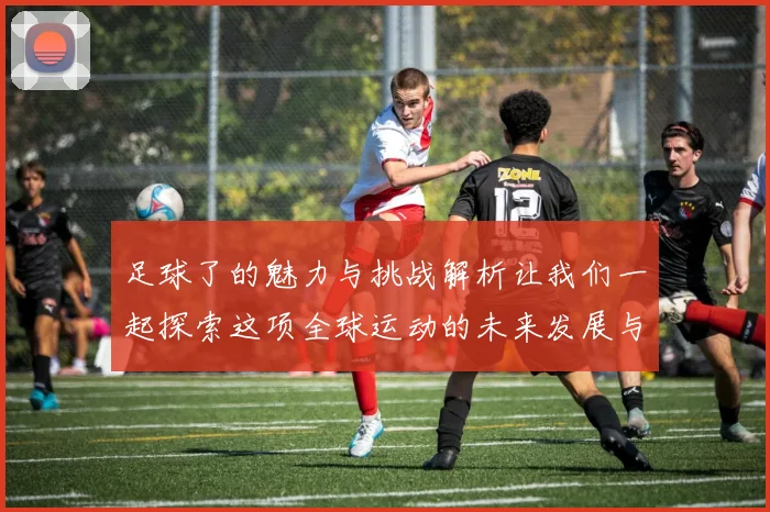 足球了的魅力与挑战解析让我们一起探索这项全球运动的未来发展与影响