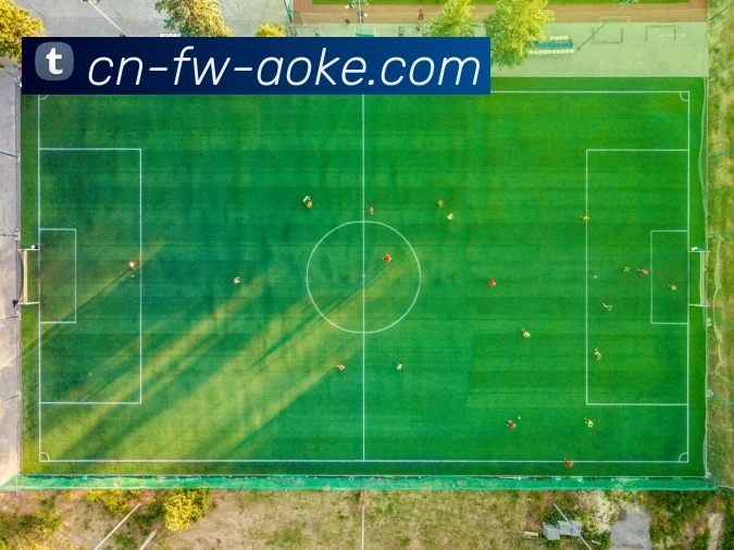 多媒体互动体验